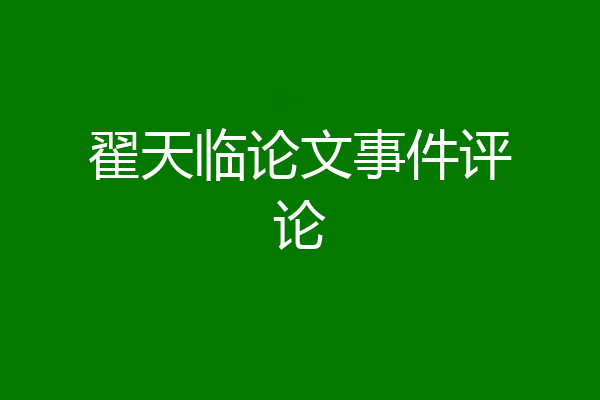 翟天临论文事件评论