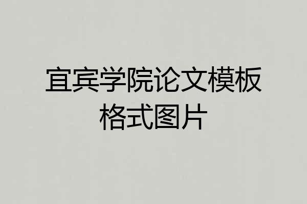 宜宾学院论文模板格式图片