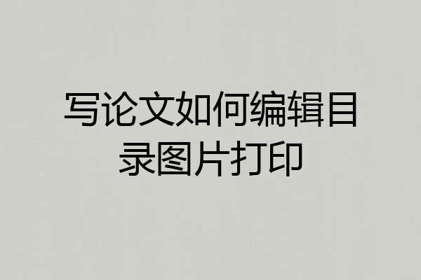 写论文如何编辑目录图片打印