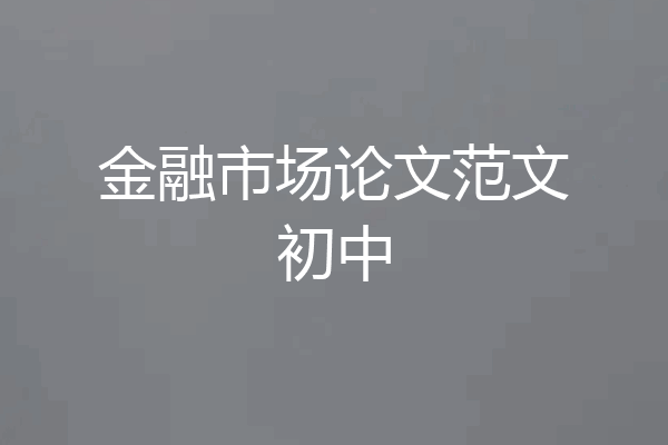 金融市场论文范文初中