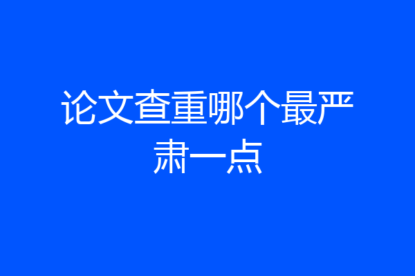 论文查重哪个最严肃一点