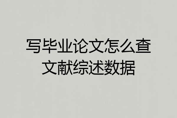 写毕业论文怎么查文献综述数据