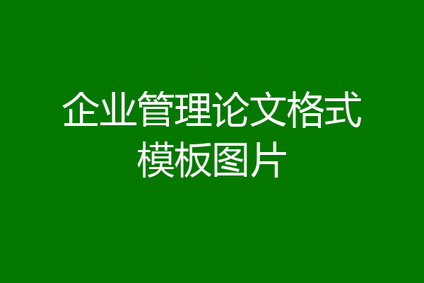 企业管理论文格式模板图片