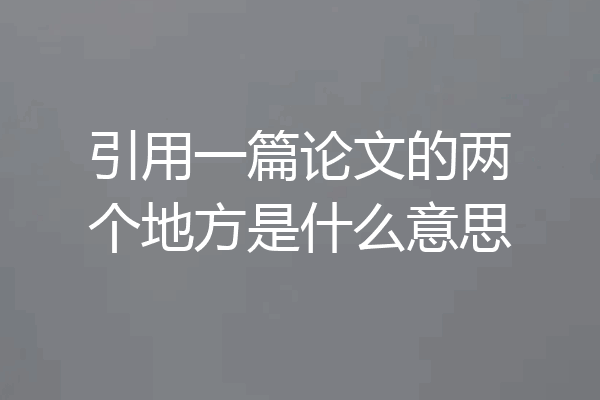 引用一篇论文的两个地方是什么意思