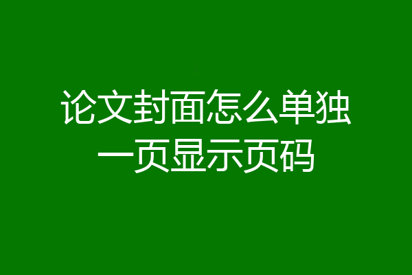 论文封面怎么单独一页显示页码