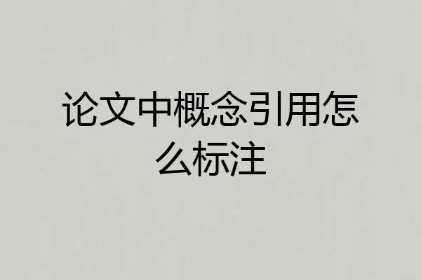 论文中概念引用怎么标注