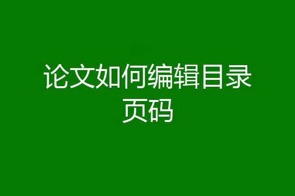 论文如何编辑目录页码