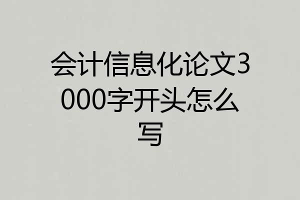 会计信息化论文3000字开头怎么写