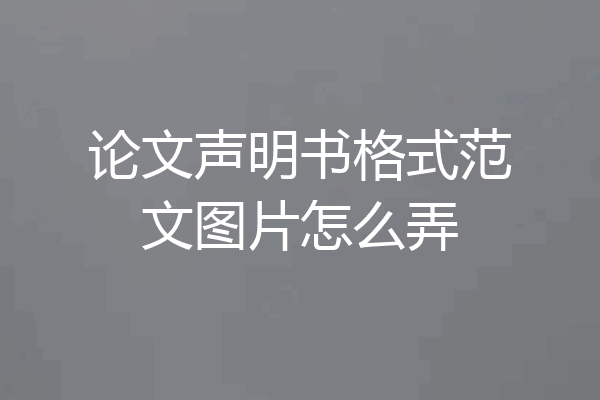 论文声明书格式范文图片怎么弄