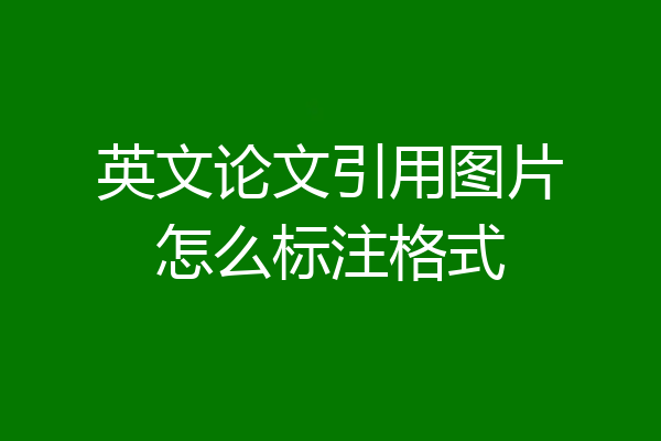 英文论文引用图片怎么标注格式