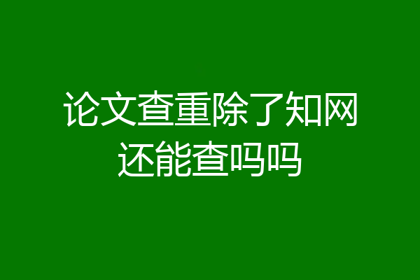 论文查重除了知网还能查吗吗