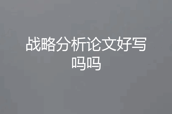 战略分析论文好写吗吗