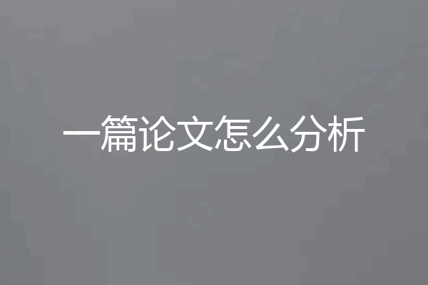 一篇论文怎么分析