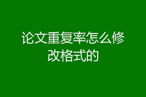 论文重复率怎么修改格式的