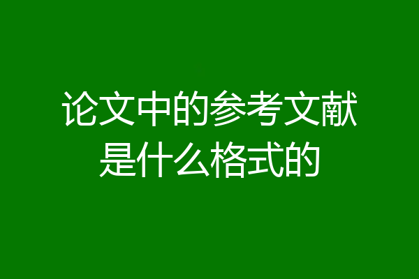 论文中的参考文献是什么格式的