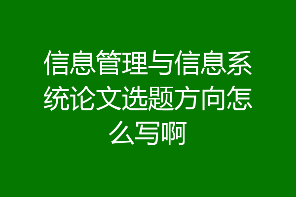信息管理与信息系统论文选题方向怎么写啊