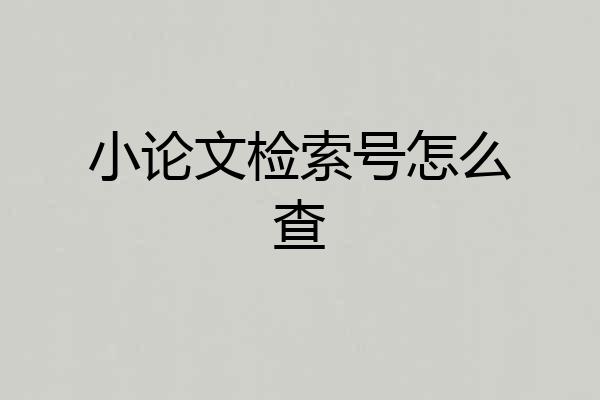 小论文检索号怎么查