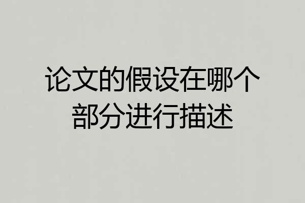 论文的假设在哪个部分进行描述