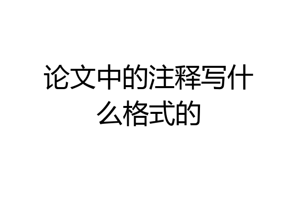 论文中的注释写什么格式的