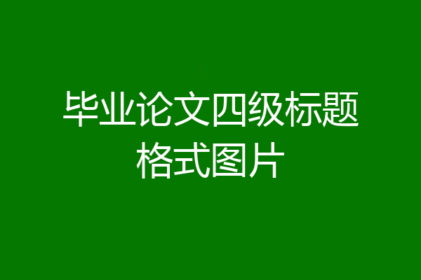 毕业论文四级标题格式图片