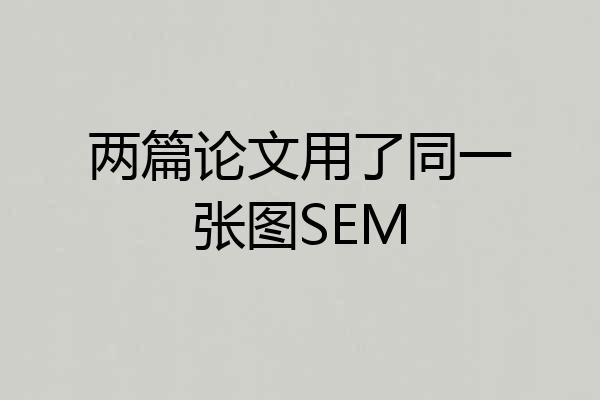 两篇论文用了同一张图SEM