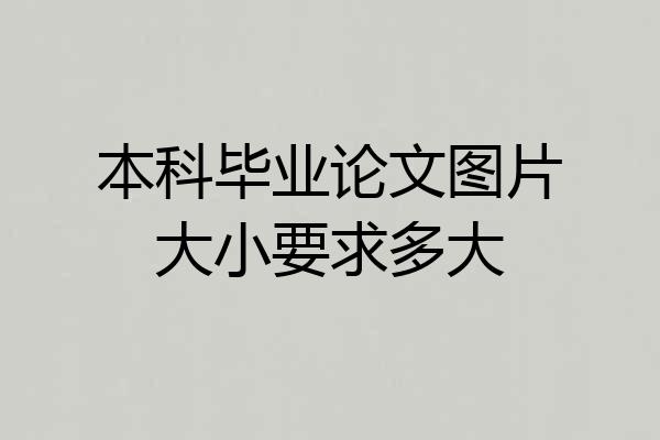 本科毕业论文图片大小要求多大