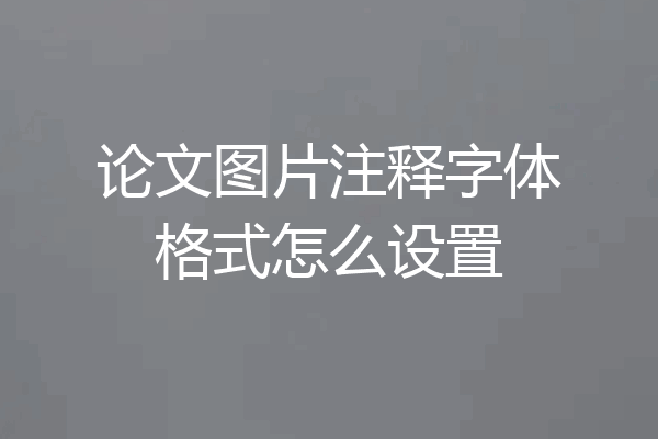 论文图片注释字体格式怎么设置