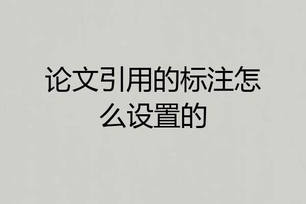 论文引用的标注怎么设置的