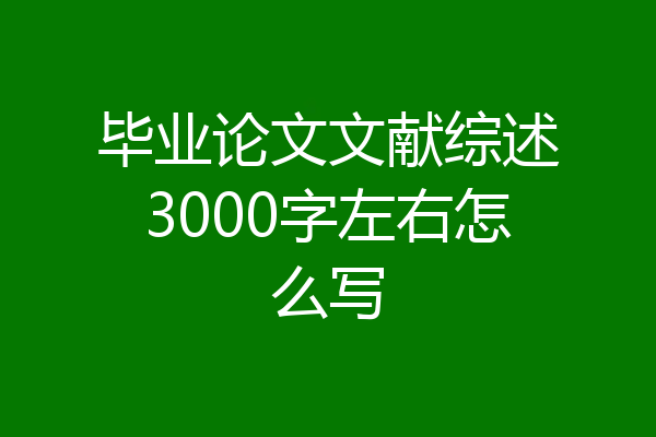 毕业论文文献综述3000字左右怎么写