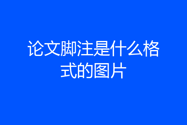 论文脚注是什么格式的图片