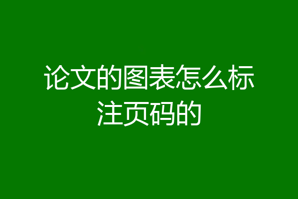 论文的图表怎么标注页码的