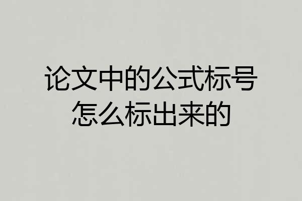 论文中的公式标号怎么标出来的
