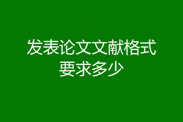 发表论文文献格式要求多少