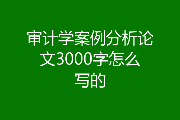 审计学案例分析论文3000字怎么写的