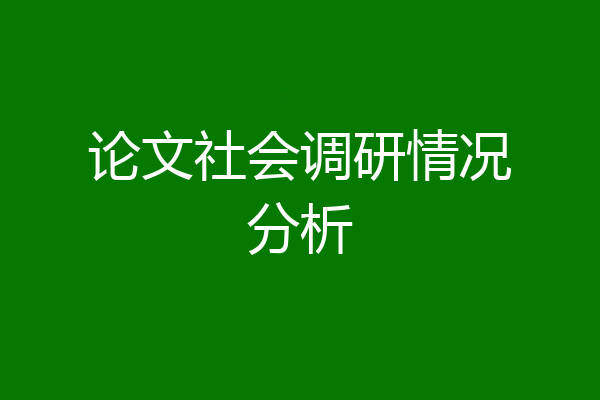 论文社会调研情况分析