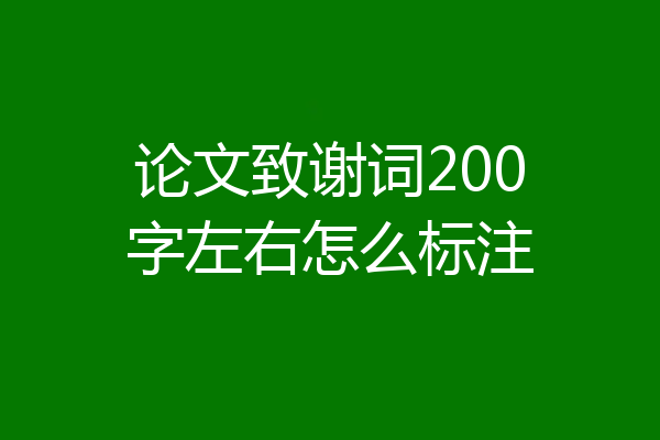 论文致谢词200字左右怎么标注