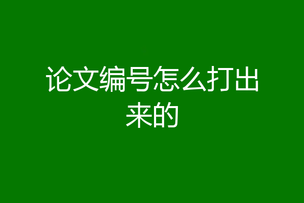 论文编号怎么打出来的