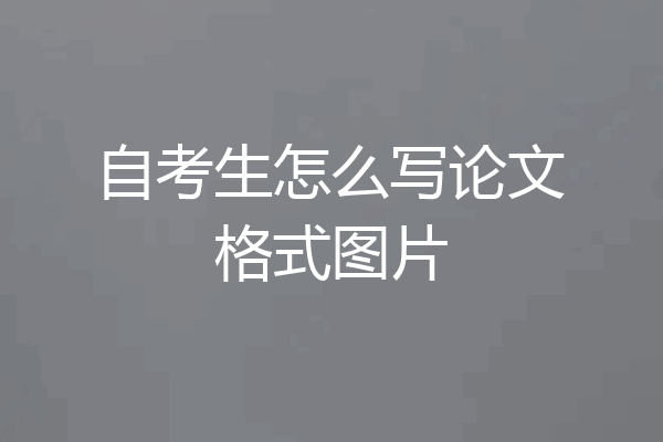 自考生怎么写论文格式图片