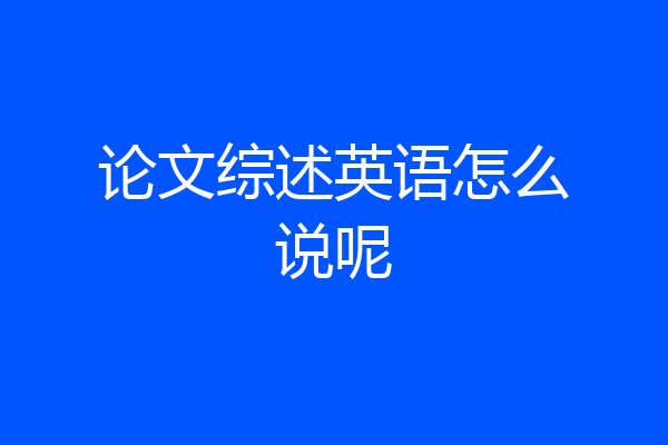 论文综述英语怎么说呢