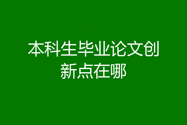 本科生毕业论文创新点在哪