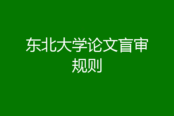 东北大学论文盲审规则