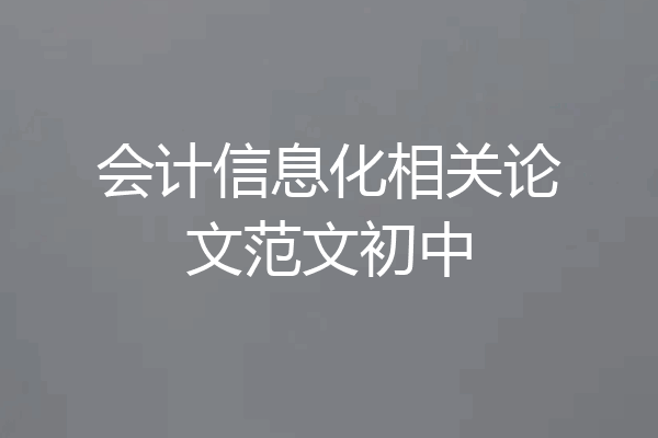 会计信息化相关论文范文初中