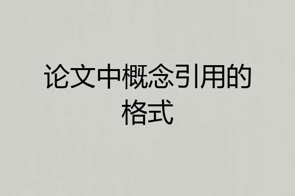 论文中概念引用的格式