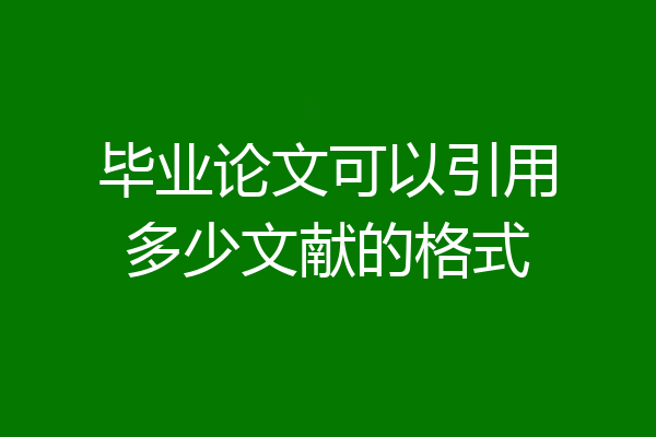 毕业论文可以引用多少文献的格式
