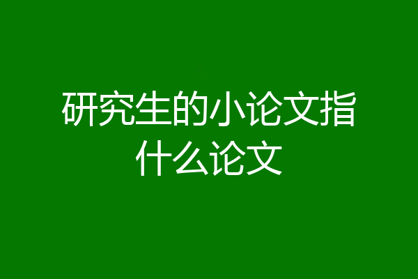 研究生的小论文指什么论文