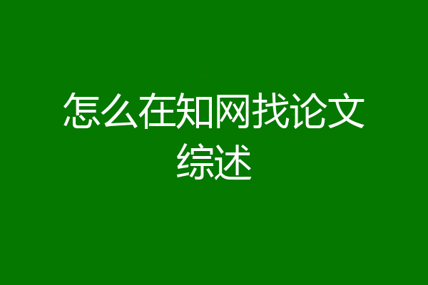 怎么在知网找论文综述
