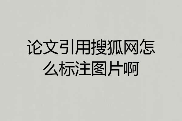 论文引用搜狐网怎么标注图片啊