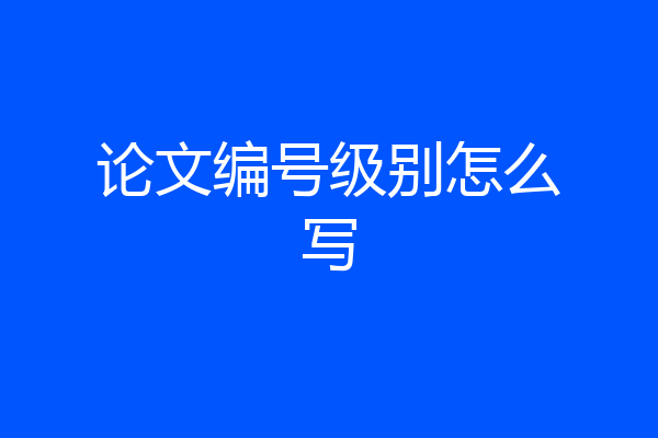 论文编号级别怎么写