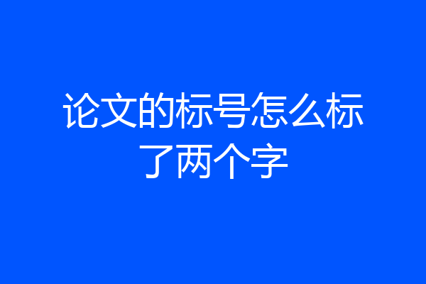 论文的标号怎么标了两个字