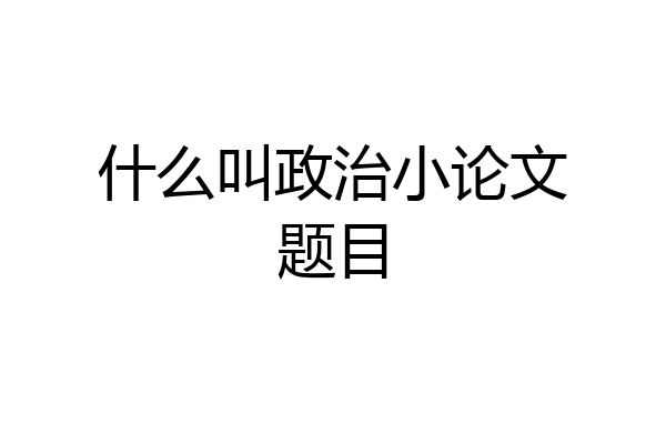 什么叫政治小论文题目